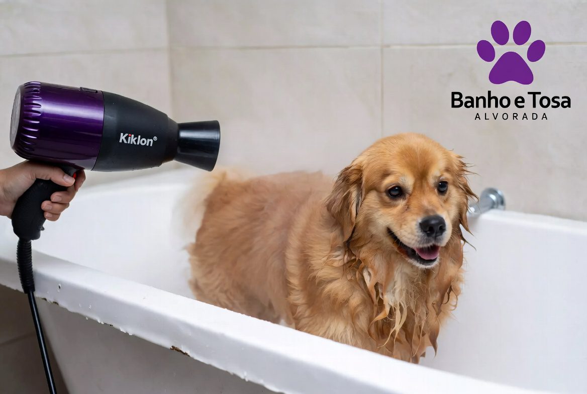 secagem no pet e banho e tosa alvorada